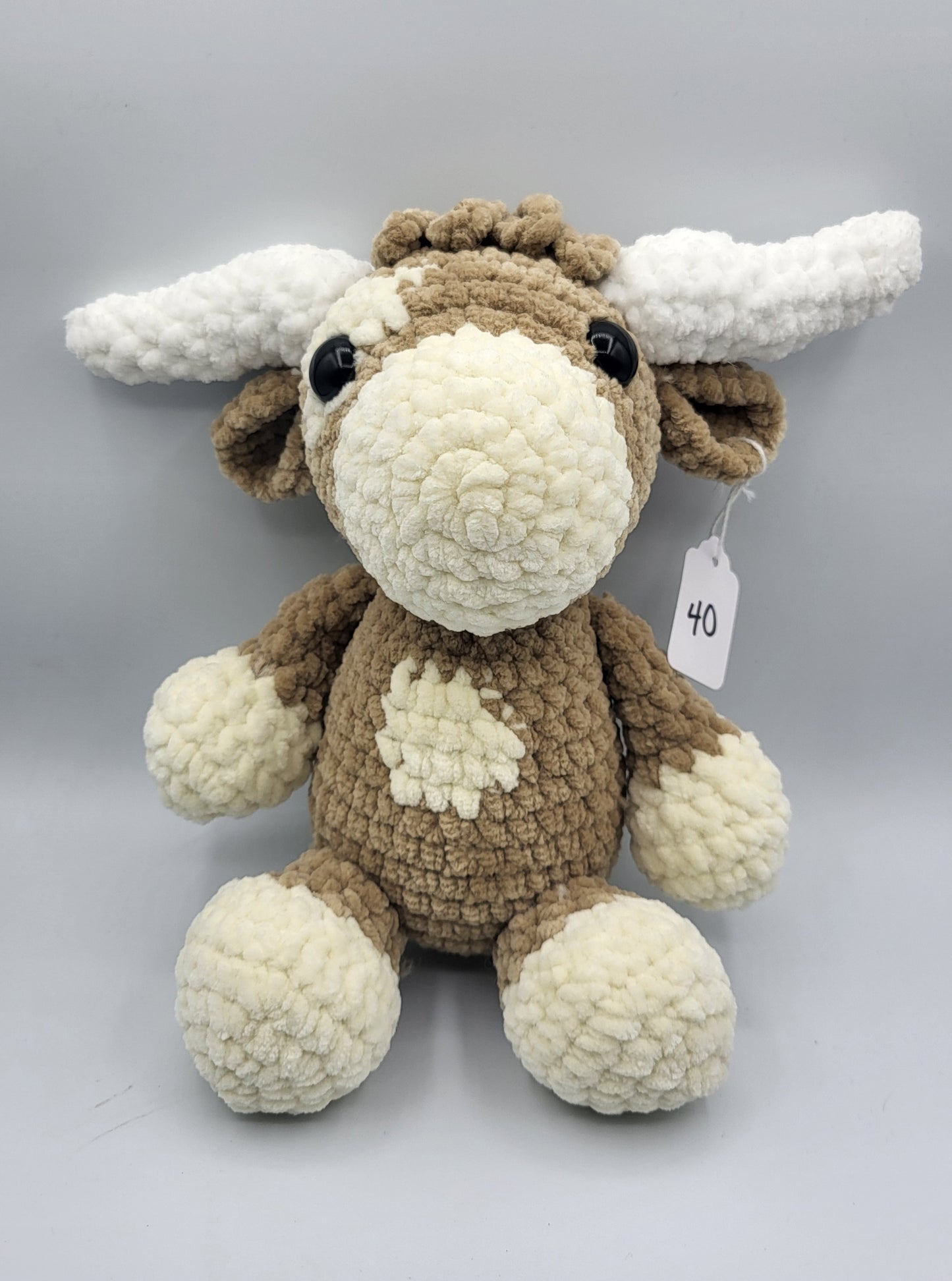 Highland Cow